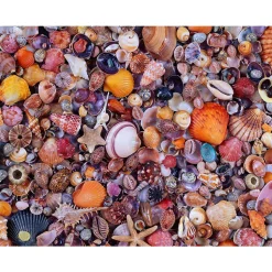 Piatnik Sea Shells Puzzle 1000pcs