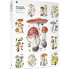 Pomegranate Viazmensky, Alexander: Mushrooms Puzzle 1000pcs