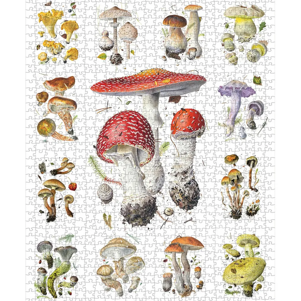 Pomegranate Viazmensky, Alexander: Mushrooms Puzzle 1000pcs