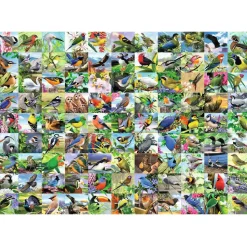Ravensburger 99 Delightful Birds Large Format Puzzle 300pcs RETIRED