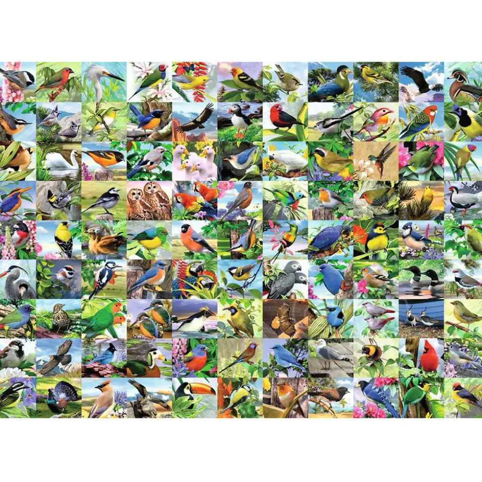 Ravensburger 99 Delightful Birds Large Format Puzzle 300pcs RETIRED