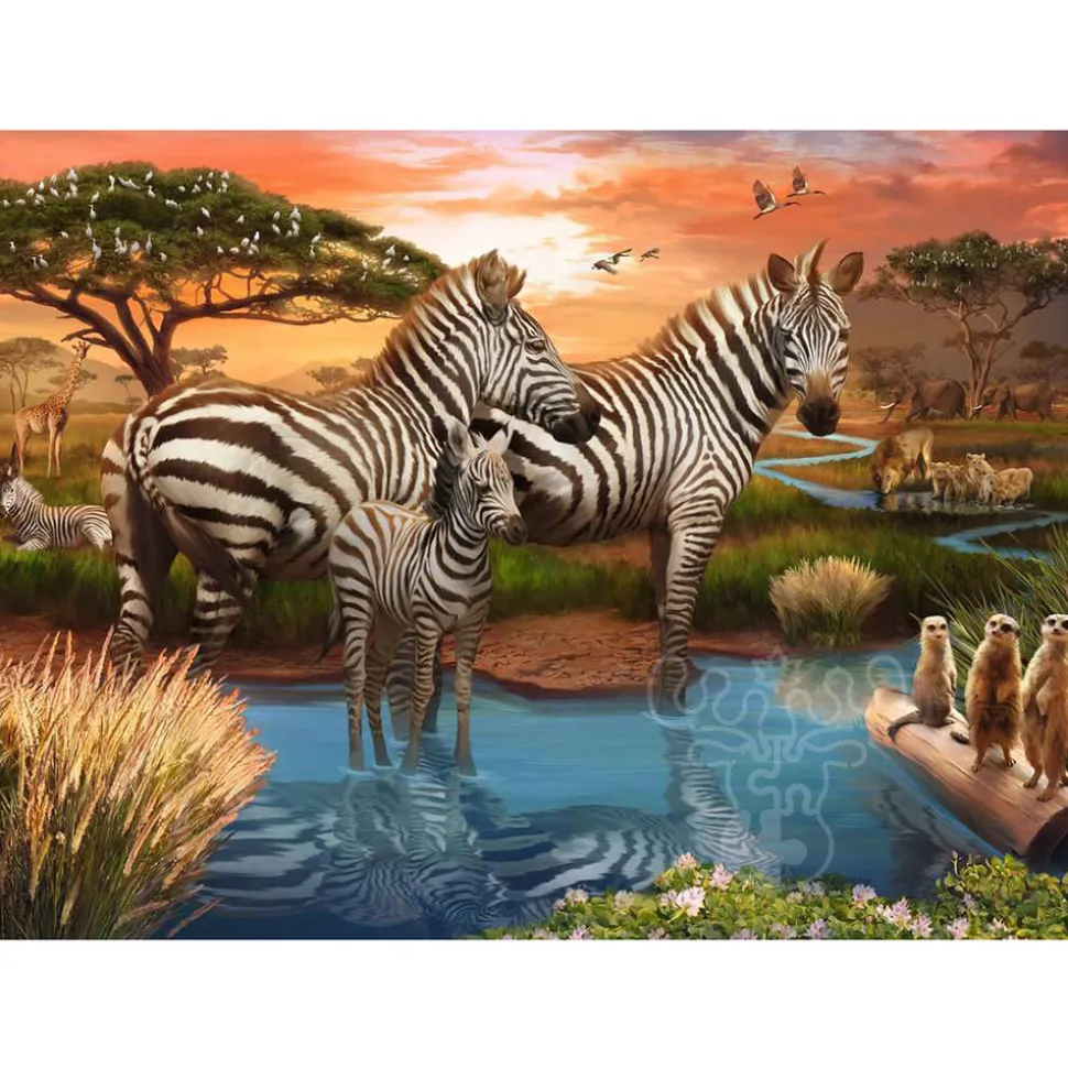 Ravensburger Zebras at Waterhole Puzzle 500pcs