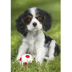 Schmidt My cutest baby animals Puzzle 3 x 48pcs