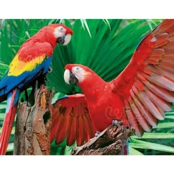 Springbok Scarlet Macaw Family Puzzle 400pcs RETIRED