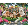 SunsOut Pets in the Park Puzzle 500pcs