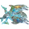 SunsOut Song of the Dolphins Shaped Puzzle 1000pcs