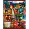 SunsOut Treasure Hunt Bookshelf Puzzle 1000pcs
