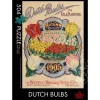 The Occurrence Dutch Bulbs Puzzle 504pcs