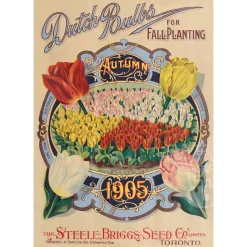 The Occurrence Dutch Bulbs Puzzle 504pcs