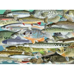 The Occurrence Fishes Of The Great Lakes Puzzle 1008pcs