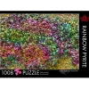 The Occurrence Rainbow Pyrite Puzzle 1008pcs