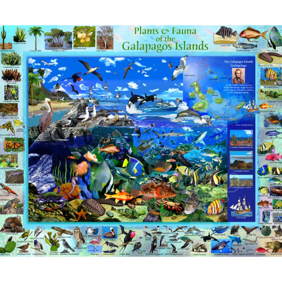 Vermont Christmas Co. Galapagos Puzzle 1000pcs RETIRED