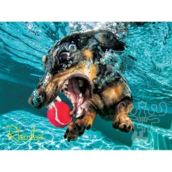 Willow Creek Underwater Dogs: Rhoda Puzzle 1000pcs