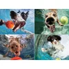 Willow Creek Underwater Dogs: Play Ball Puzzle 1000pcs