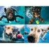 Willow Creek Underwater Dogs: Splash Puzzle 1000pcs